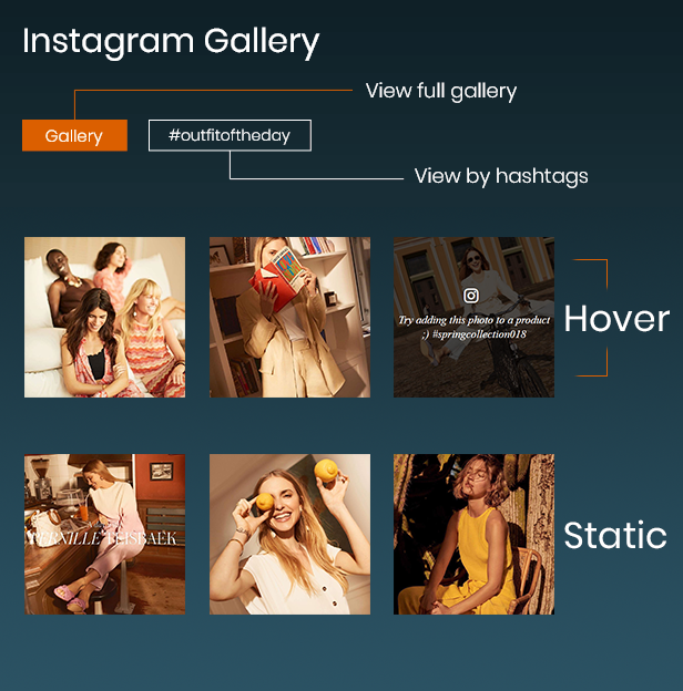 display instagram gallery