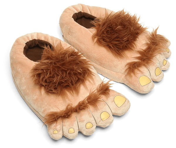 adventure slippers