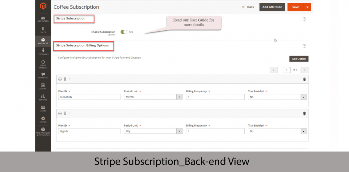 Stripe Subscription Backend View 1