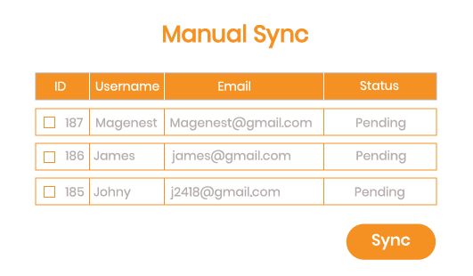 Magento 2 Salesforce Integration manual syncing