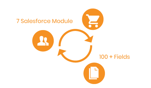 Magento 2 Salesforce Integration various module