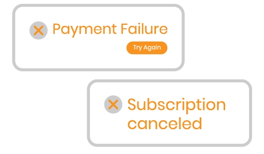 Magento 2 Subscription and Recurring Payments payment process