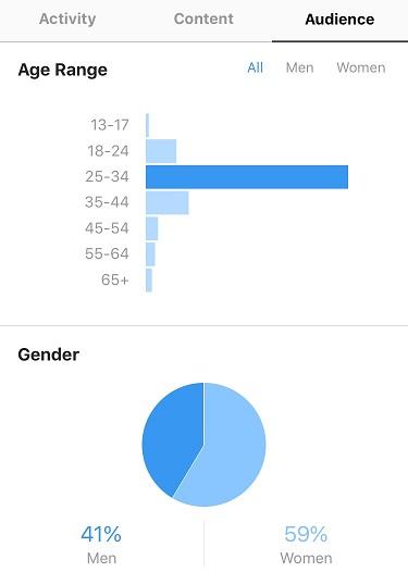 Instagram Analytics: Example of audience analytics