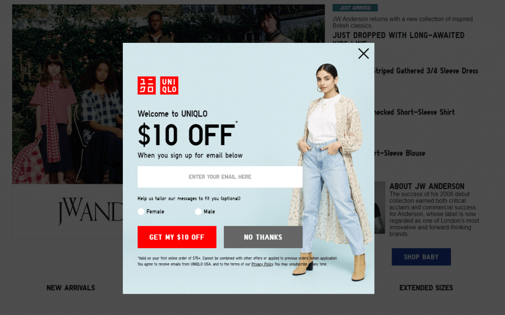 Conversion rate optimization: coupon