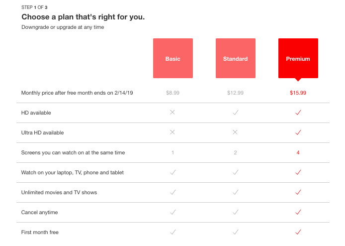 Netflix Subscription: Monthly plan