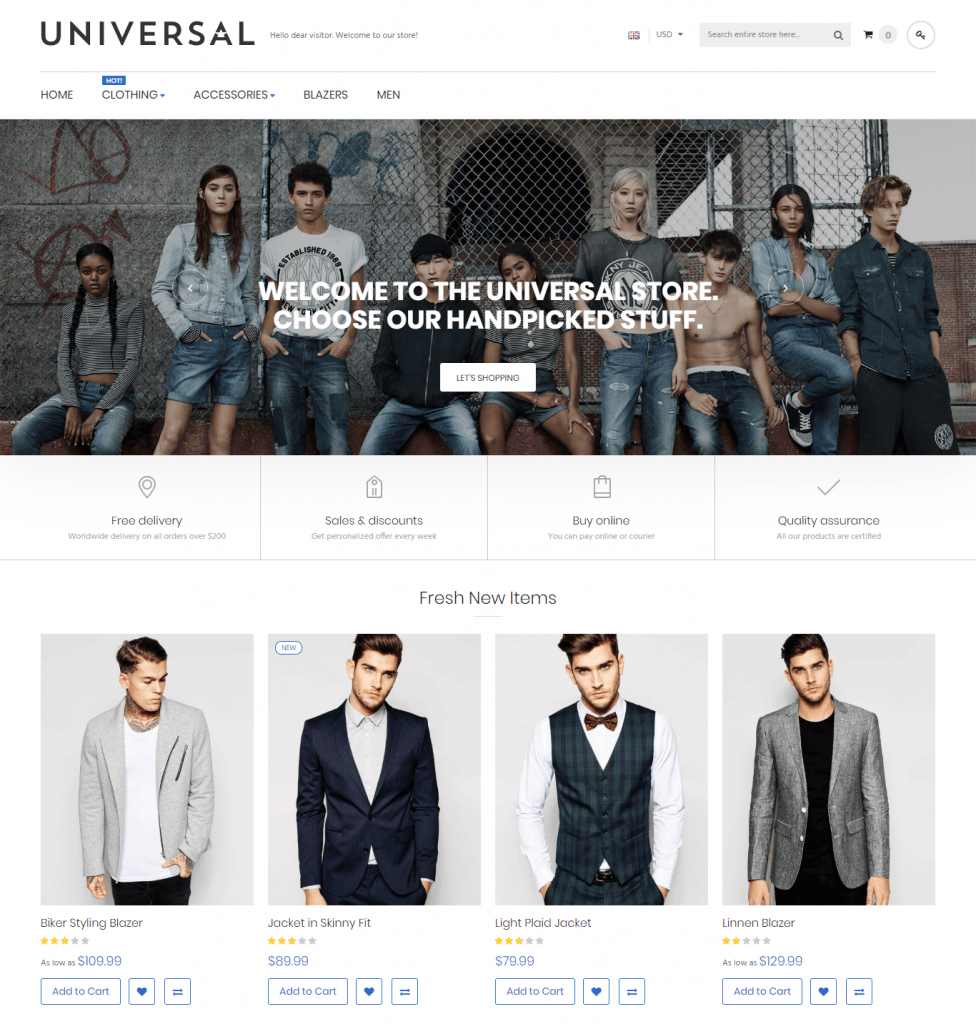 Magento 2 themes in 2020: universal