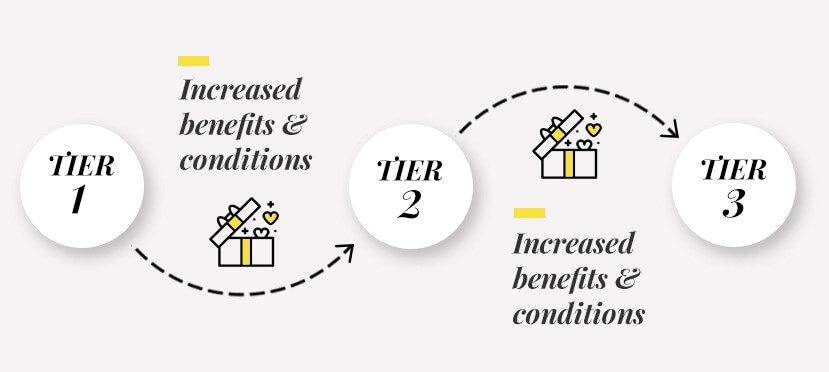 customer loyalty program: tier-based program